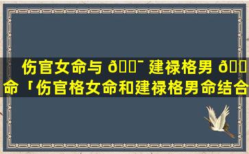 伤官女命与 🐯 建禄格男 🐒 命「伤官格女命和建禄格男命结合怎么样」